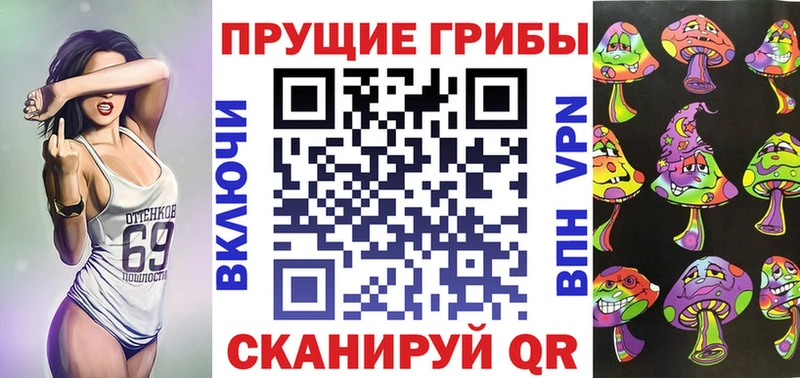 darknet какой сайт  Оленегорск  Псилоцибиновые грибы Psilocybine cubensis  ОМГ ОМГ ссылка 